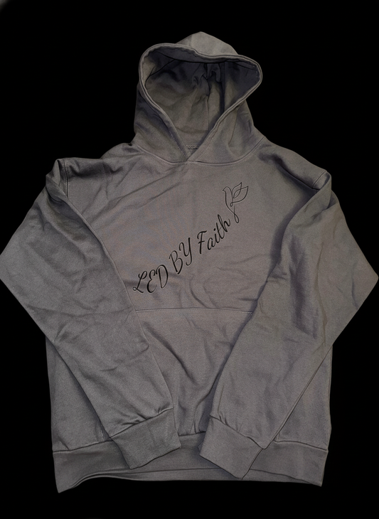 Led By Faith Hoodie